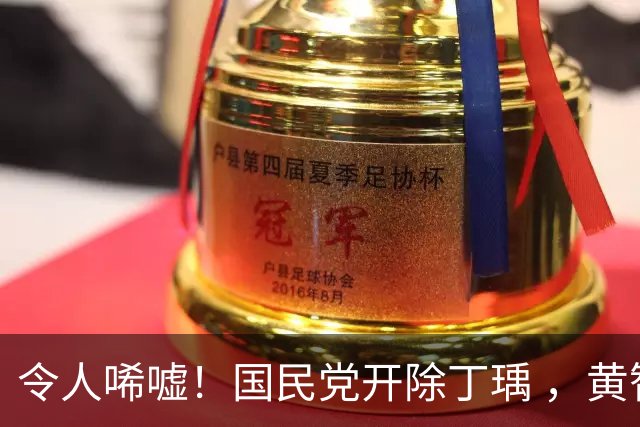 令人唏嘘！国民党开除丁瑀 ，黄智贤批太蠢，说还是民进党正常些
